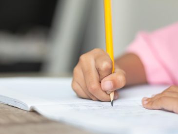 Recupero anni scolastici a Sesto Fiorentino